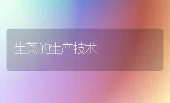 生菜的生产技术 | 植物科普