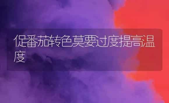 促番茄转色莫要过度提高温度 | 植物科普