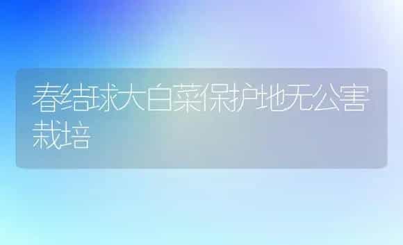春结球大白菜保护地无公害栽培 | 植物科普