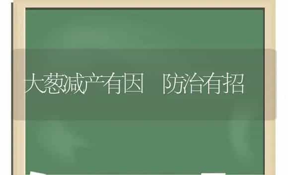 大葱减产有因 防治有招 | 植物科普