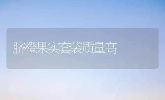 脐橙果实套袋质量高 | 植物科普