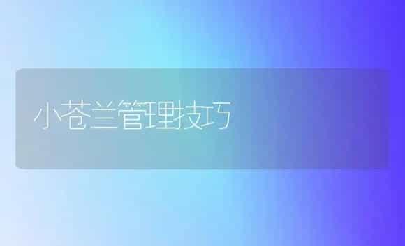 脐橙采果后的管理 | 植物科普
