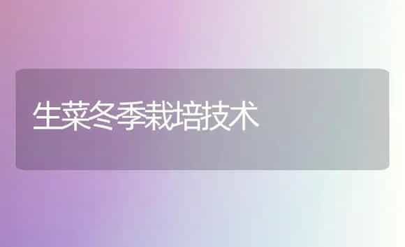 生菜冬季栽培技术 | 植物科普