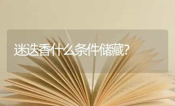 迷迭香什么条件储藏？ | 植物问答