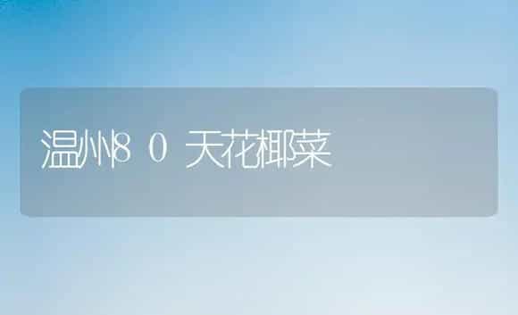 温州80天花椰菜 | 植物百科