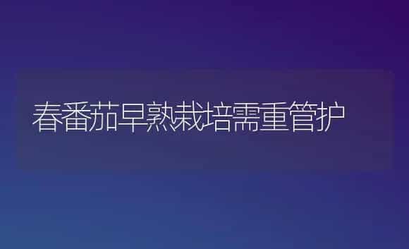 春番茄早熟栽培需重管护 | 植物科普
