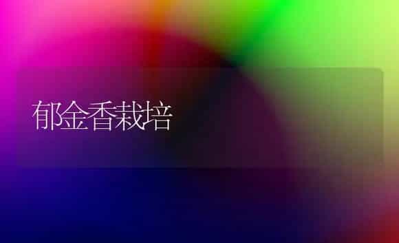 郁金香栽培 | 植物科普