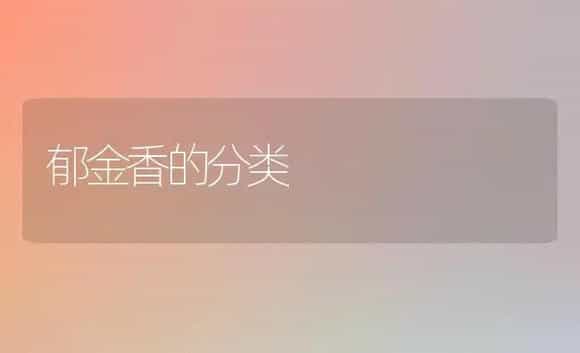 郁金香的分类 | 植物科普