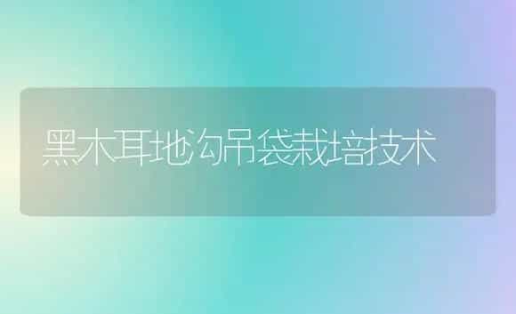 黑木耳地沟吊袋栽培技术 | 植物科普