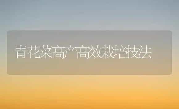 青花菜高产高效栽培技法 | 植物科普
