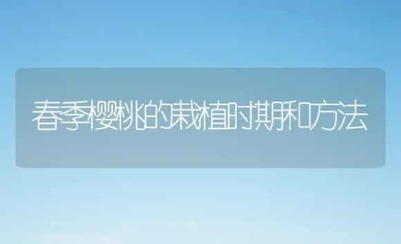 春季樱桃的栽植时期和方法 | 植物百科