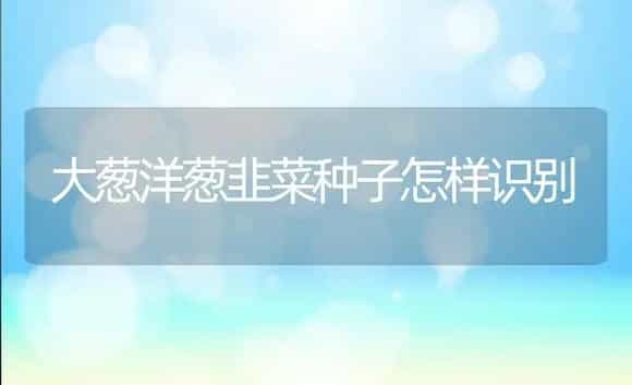 大葱洋葱韭菜种子怎样识别 | 植物科普