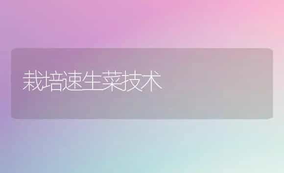 栽培速生菜技术 | 植物科普