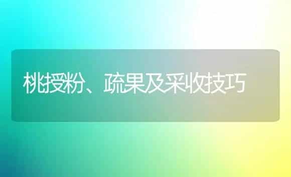 桂花的栽培技巧 | 植物科普