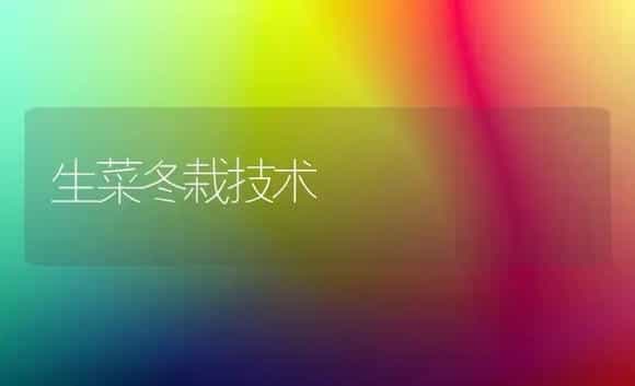 生菜冬栽技术 | 植物科普