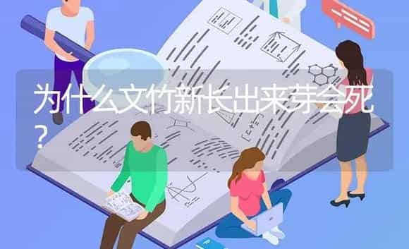 为什么文竹新长出来芽会死？ | 植物问答