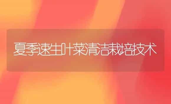 郁金香的繁殖和栽培 | 植物科普