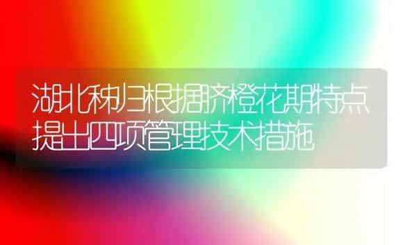 湖北秭归根据脐橙花期特点提出四项管理技术措施 | 植物科普
