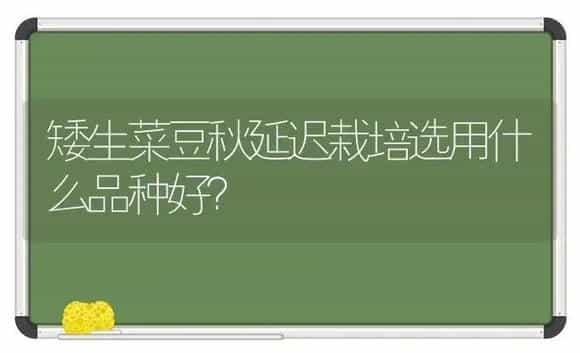 矮生菜豆秋延迟栽培选用什么品种好？ | 植物科普