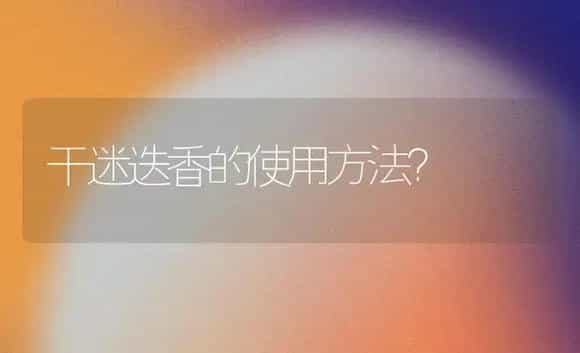 干迷迭香的使用方法？ | 植物问答