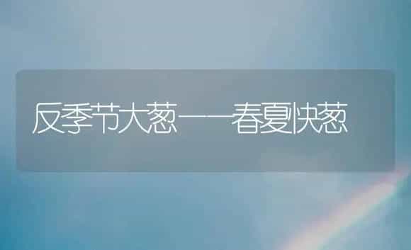 反季节大葱——春夏快葱 | 植物科普