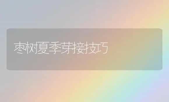 枣树夏季芽接技巧 | 植物科普