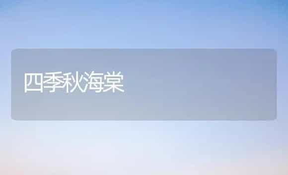 四季秋海棠 | 植物知识