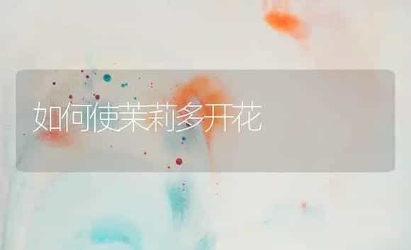 如何使茉莉多开花 | 植物知识