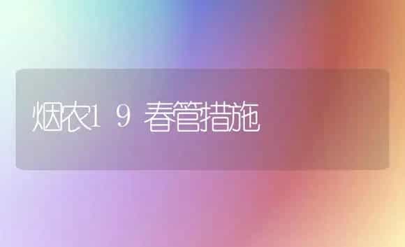 含羞草怎样栽培和繁殖 | 植物科普