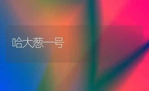 哈大葱一号 | 植物科普