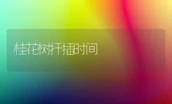 桂花树扦插时间 | 植物科普