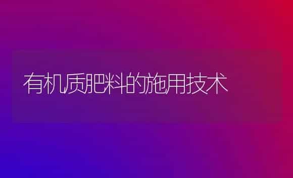 金叶女贞扦插成活率如何提高 | 植物科普