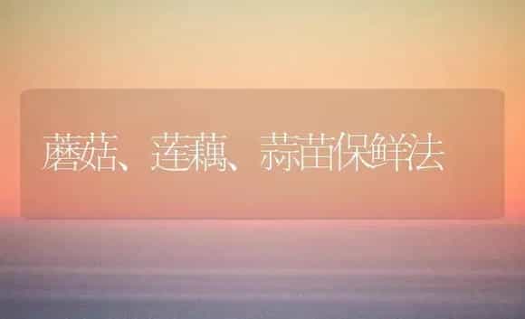 白蜡嫁接水曲柳造林技术 | 植物科普