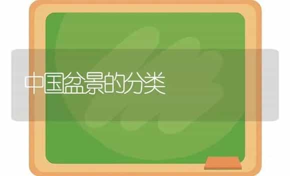 中国盆景的分类 | 植物科普
