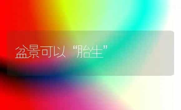 盆景可以“胎生” | 植物科普