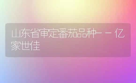 山东省审定番茄品种--亿家世佳 | 植物科普