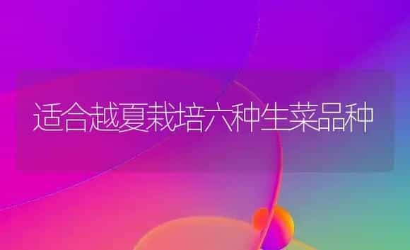 适合越夏栽培六种生菜品种 | 植物科普