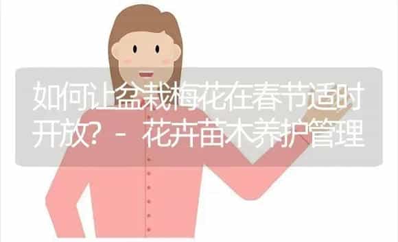 让荷花四季开放的技术 | 植物科普
