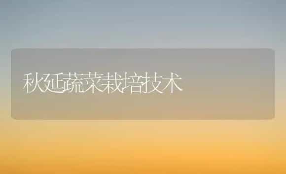 不同品种植株高接朋娜脐橙比较试验初报 | 植物科普