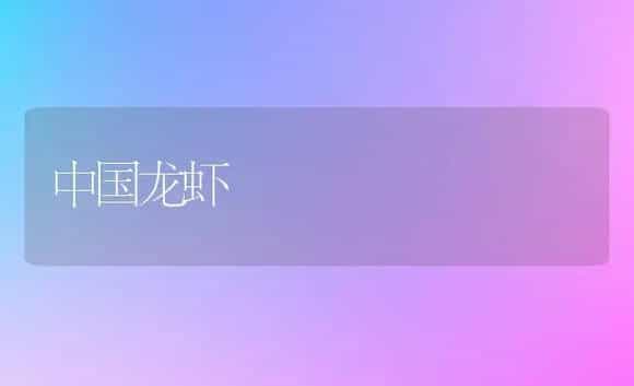 中国龙虾 | 植物科普