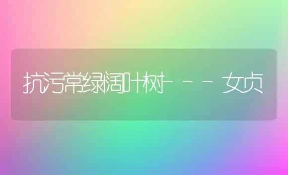 抗污常绿阔叶树---女贞 | 植物科普