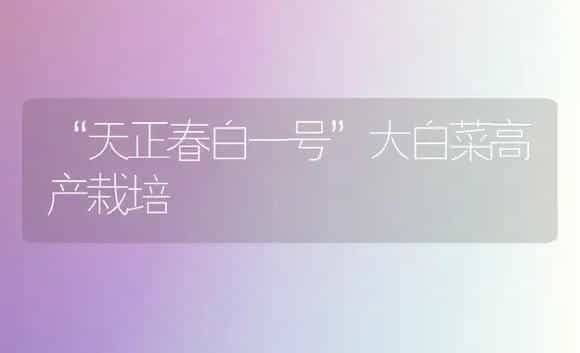 “天正春白一号”大白菜高产栽培 | 植物科普