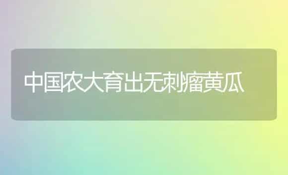 中国农大育出无刺瘤黄瓜 | 植物科普