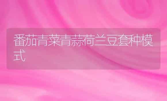 番茄青菜青蒜荷兰豆套种模式 | 植物科普