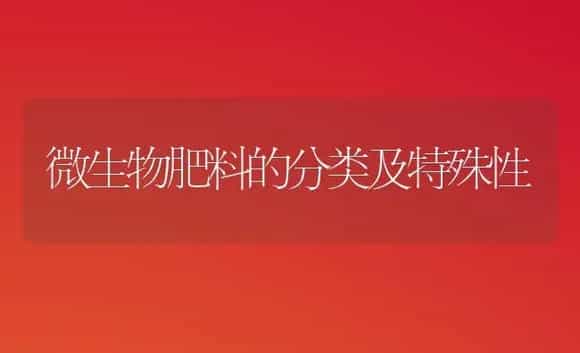 出口青花菜标准化栽培技术 | 植物科普