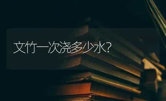 文竹一次浇多少水? | 植物问答