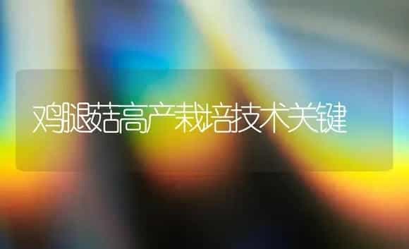 玫瑰的养护 | 植物科普