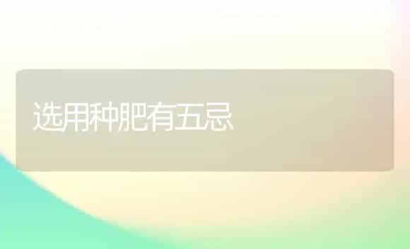 棚室番茄弱光补偿管理技术 | 植物科普