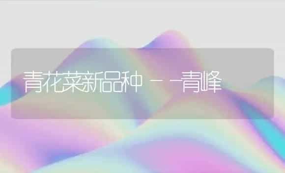 青花菜新品种――青峰 | 植物科普
