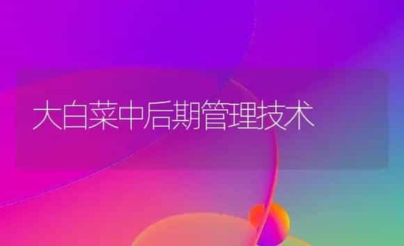 大白菜中后期管理技术 | 植物科普